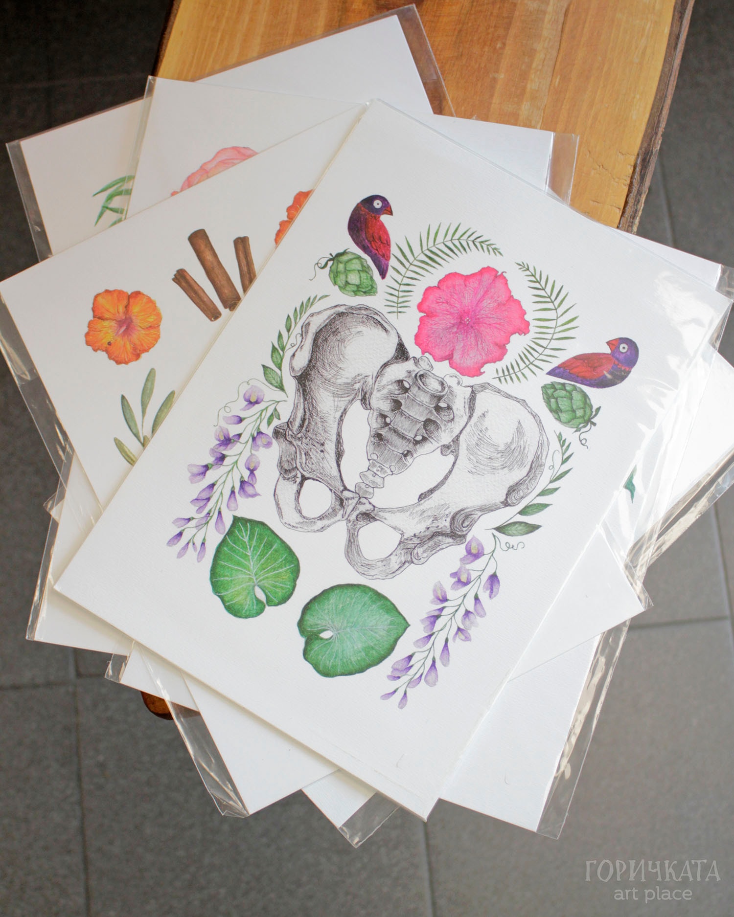 Принтове на авторски рисунки от серията Anatomica/Botanica, А4