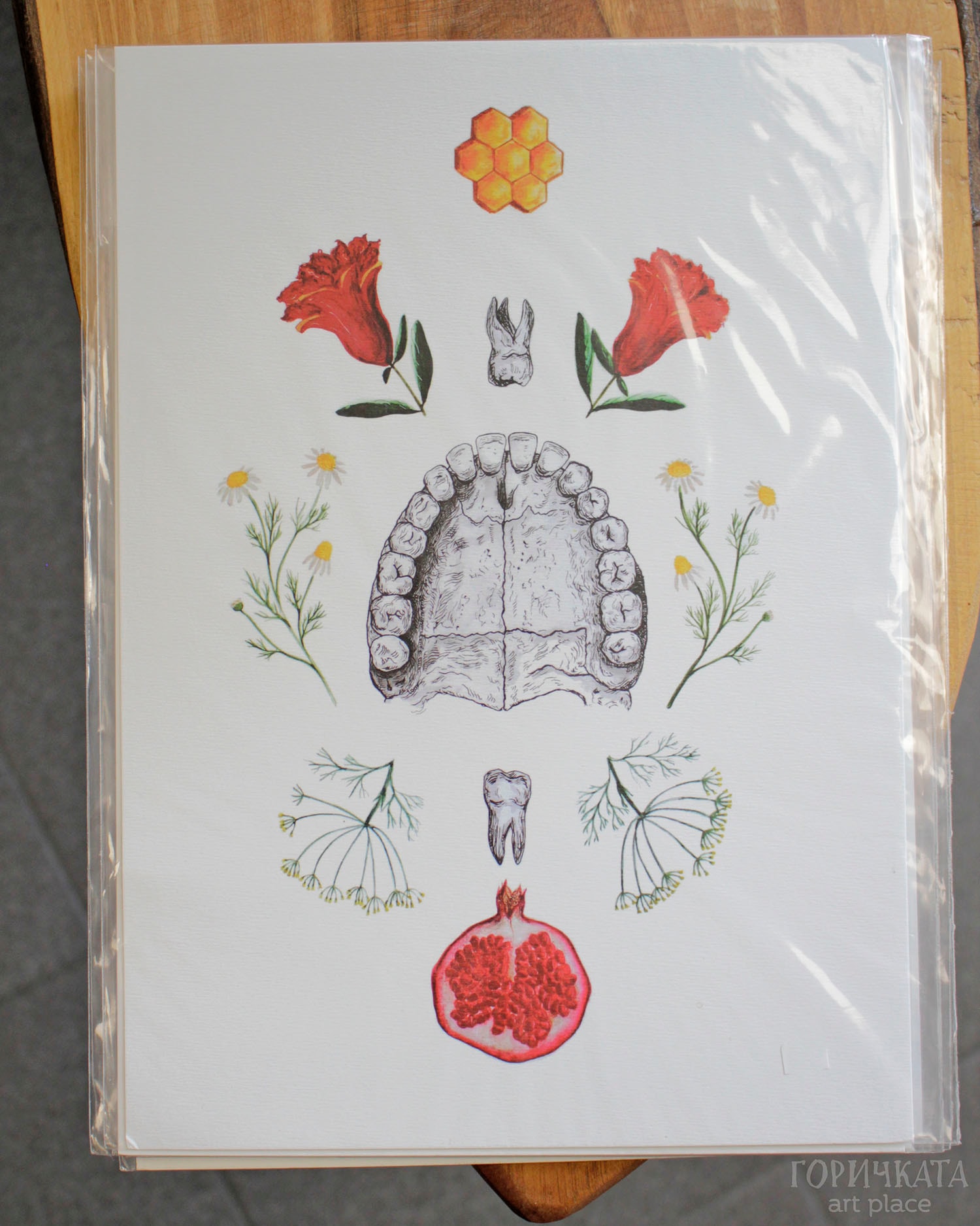 Принтове на авторски рисунки от серията Anatomica/Botanica, А4