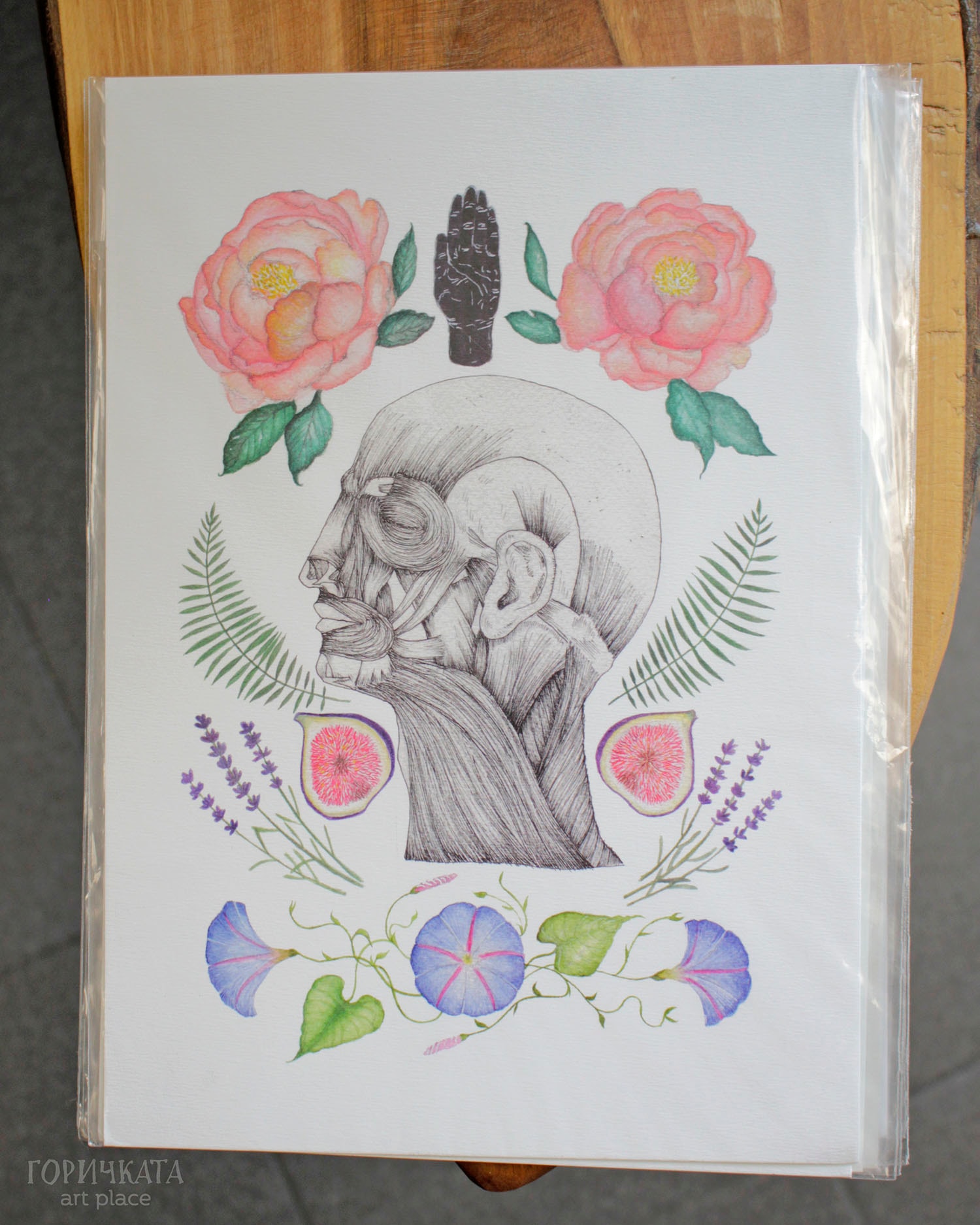 Принтове на авторски рисунки от серията Anatomica/Botanica, А4