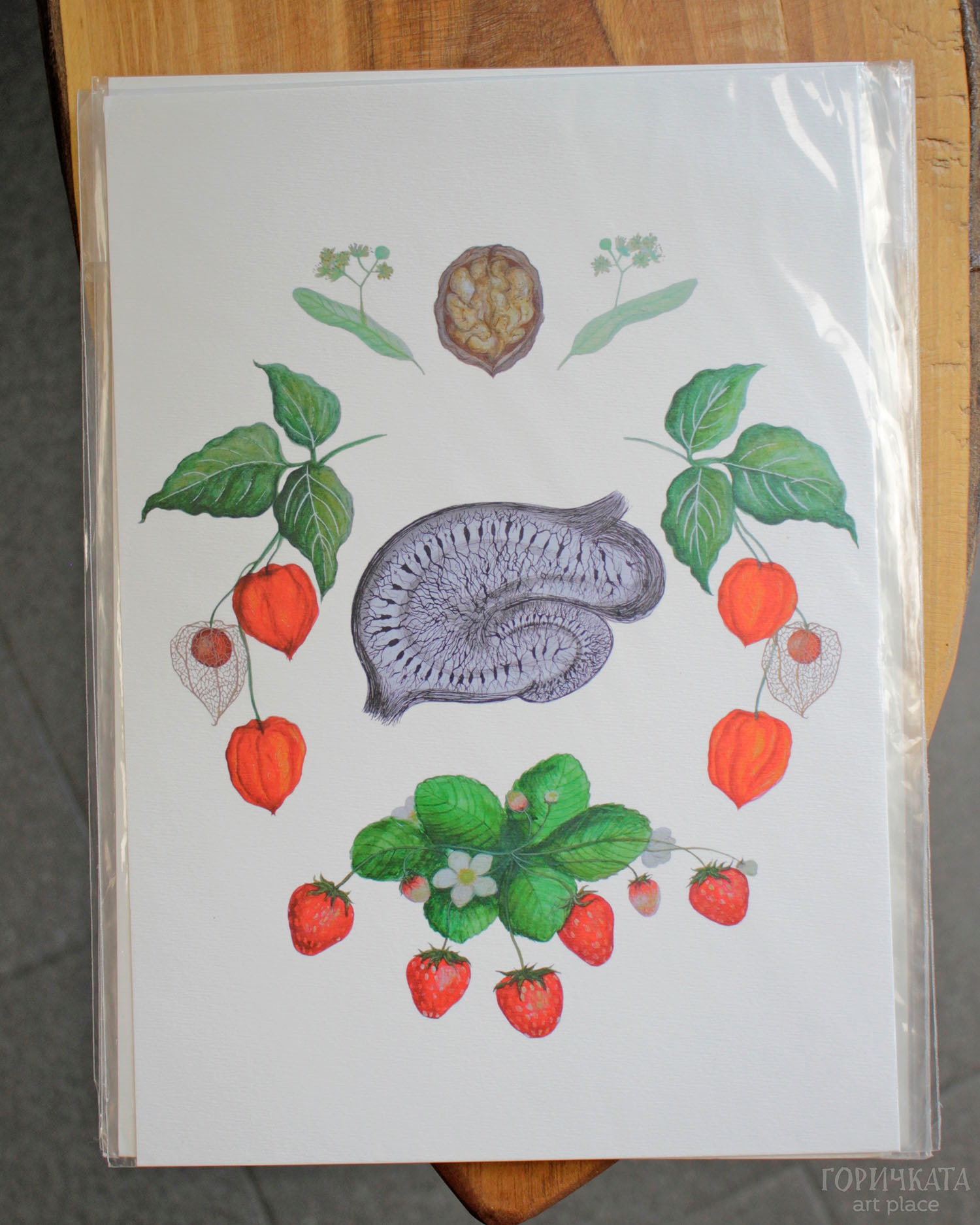 Принтове на авторски рисунки от серията Anatomica/Botanica, А4