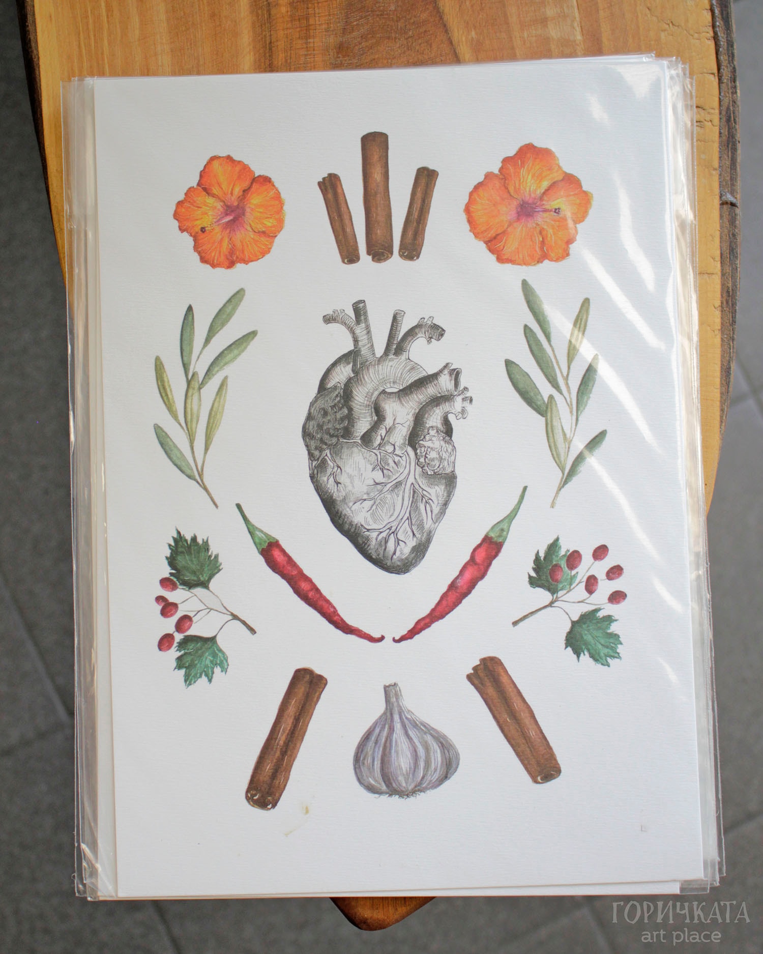 Принтове на авторски рисунки от серията Anatomica/Botanica, А4