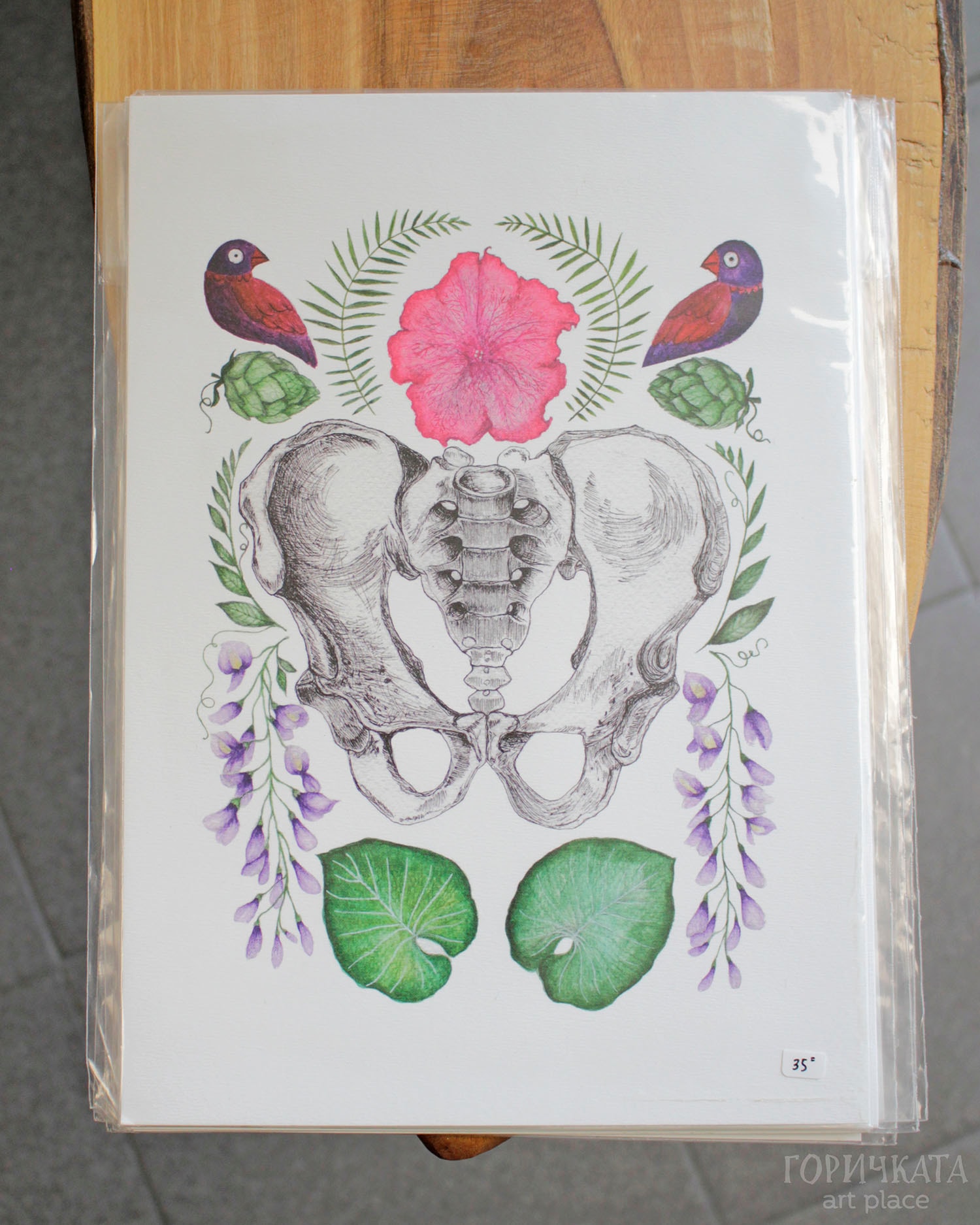 Принтове на авторски рисунки от серията Anatomica/Botanica, А4